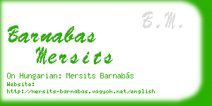 barnabas mersits business card